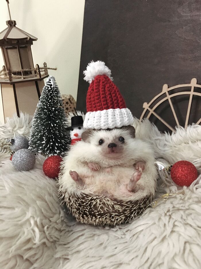 Tell Me The Truth, Does This Hat Make Me Look Fat?