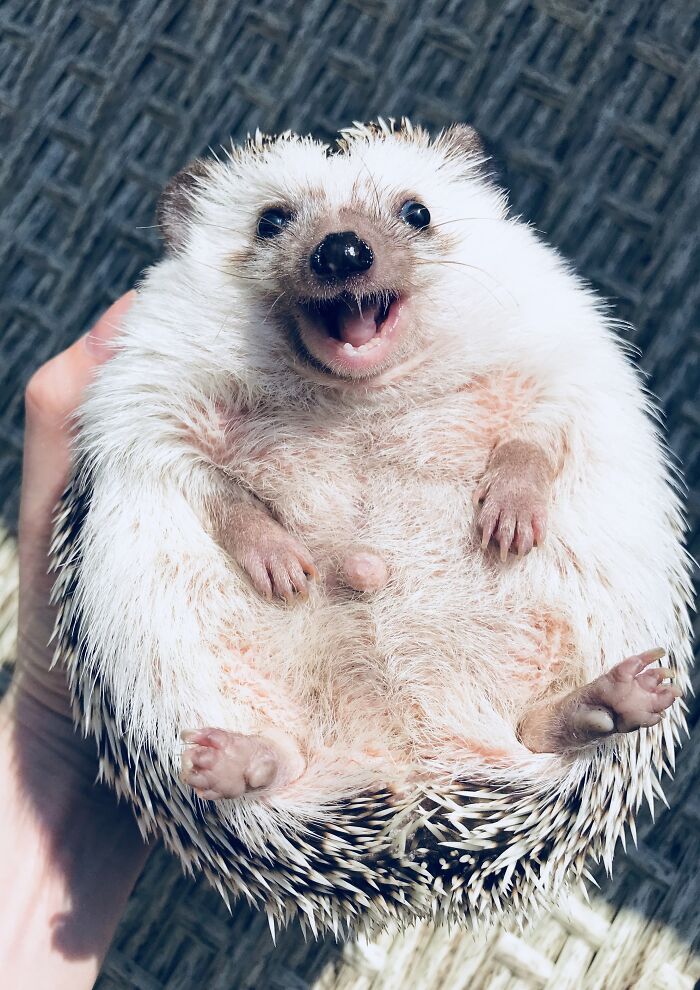 Today Is The Perfect Day To Be Happy!