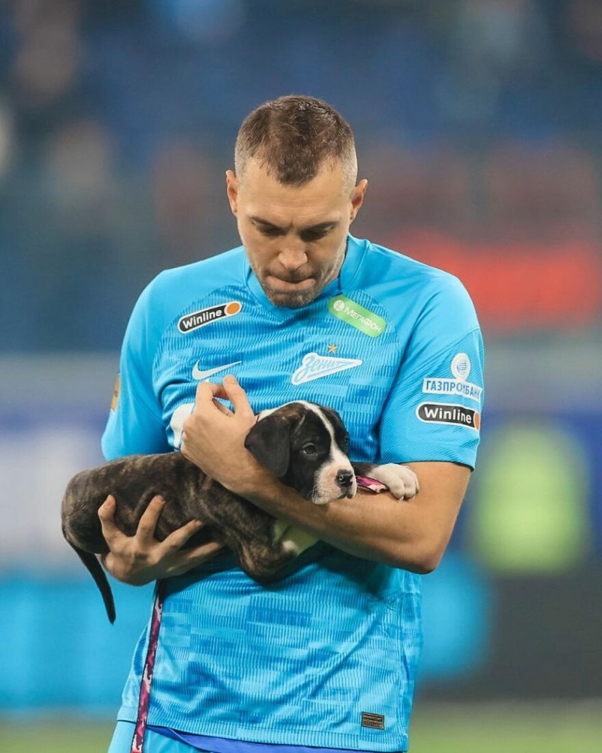 In Russia Football Players Take To The Field With Dogs To Encourage Adoption