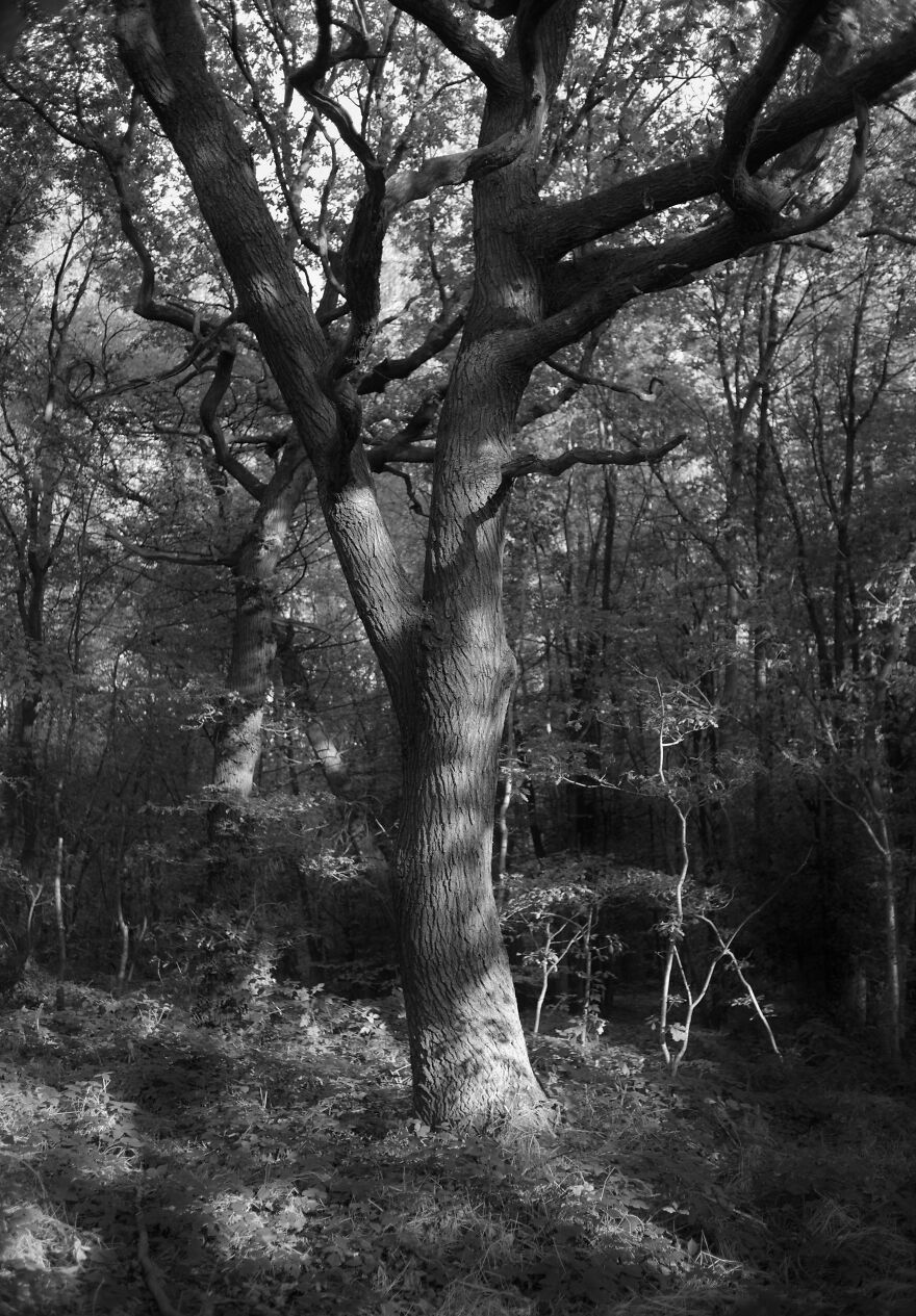 The Importance Of Human Connection