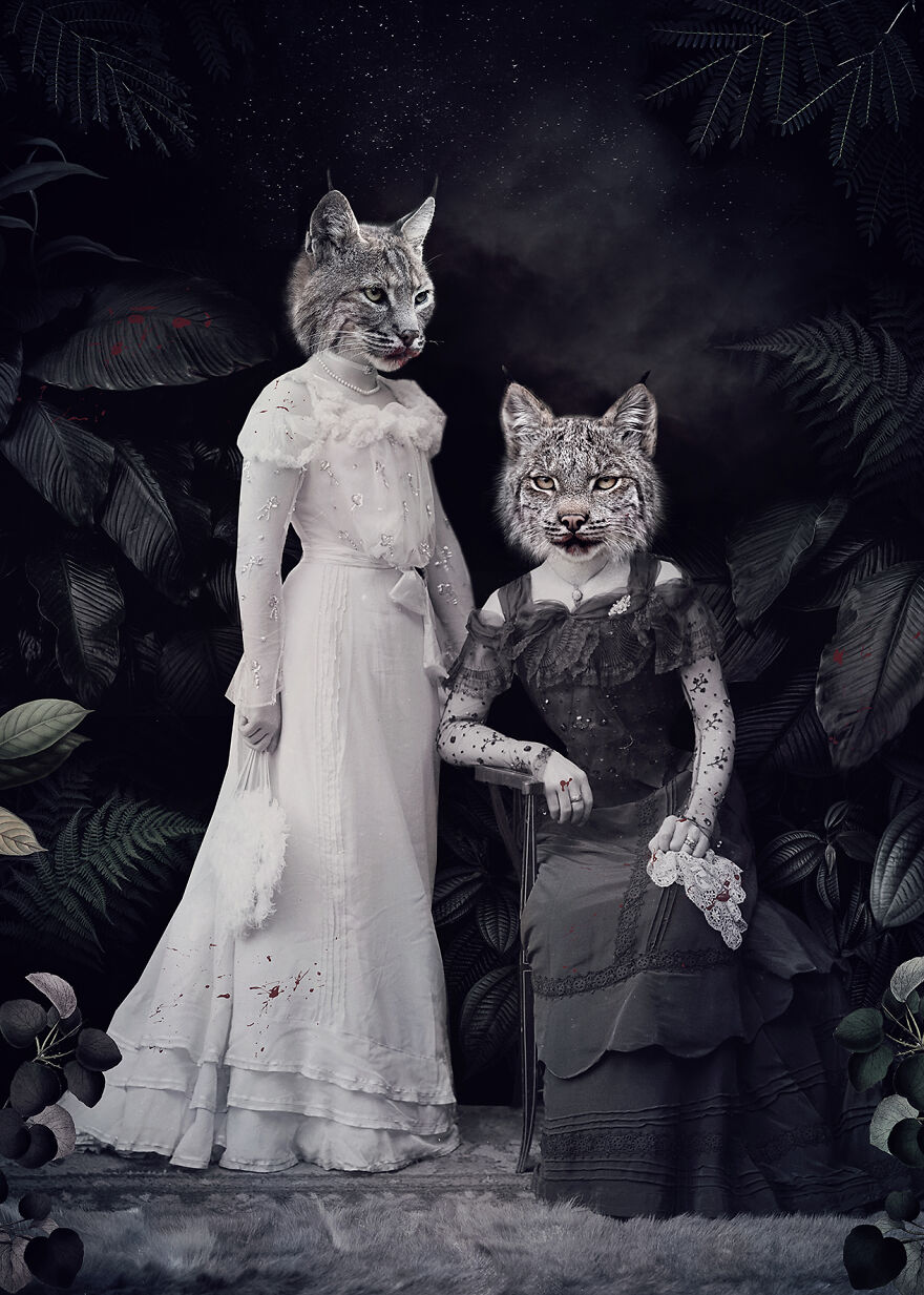 Never Forget The Forest - We Created Magical Collages Dedicated To Animals, Nature And Our Fragile Planet. Never Forget The Forest - We Created Magical Collages Dedicated To Animals, Nature And Our Fragile Planet.