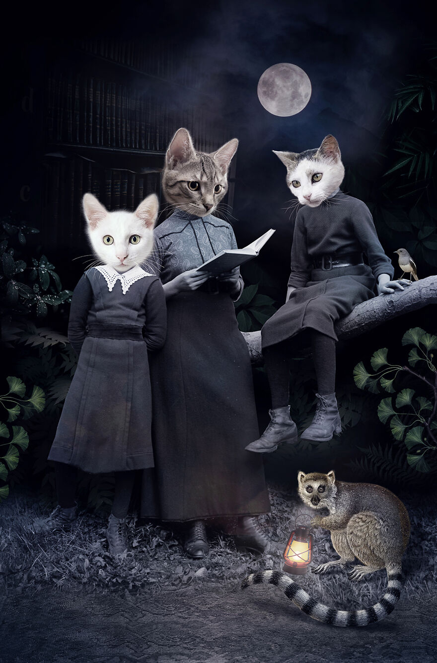 Never Forget The Forest - We Created Magical Collages Dedicated To Animals, Nature And Our Fragile Planet. Never Forget The Forest - We Created Magical Collages Dedicated To Animals, Nature And Our Fragile Planet.