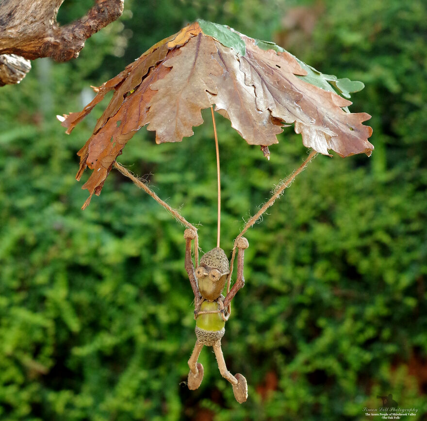Meet The Acorn People Of Shirebrook Valley