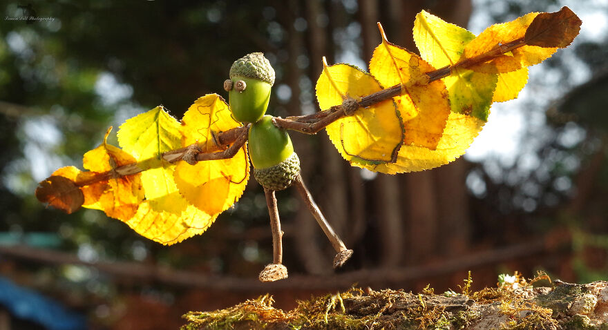 Meet The Acorn People Of Shirebrook Valley
