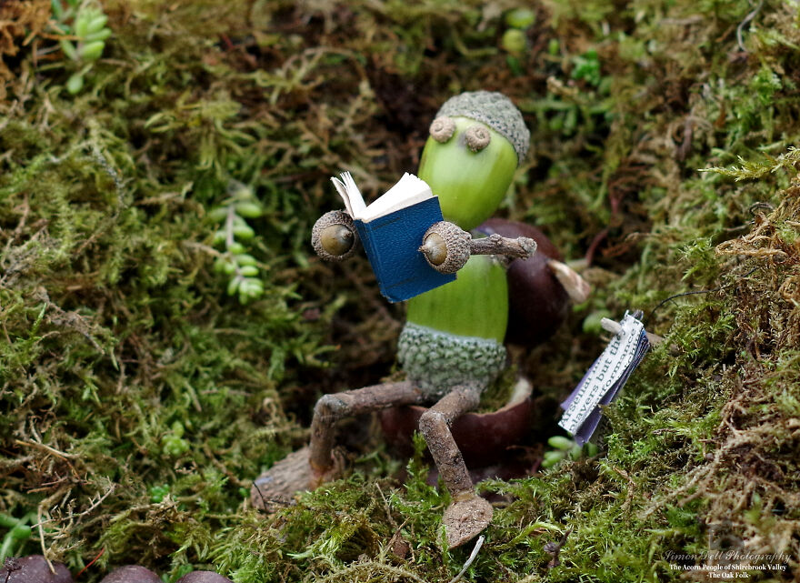 Meet The Acorn People Of Shirebrook Valley