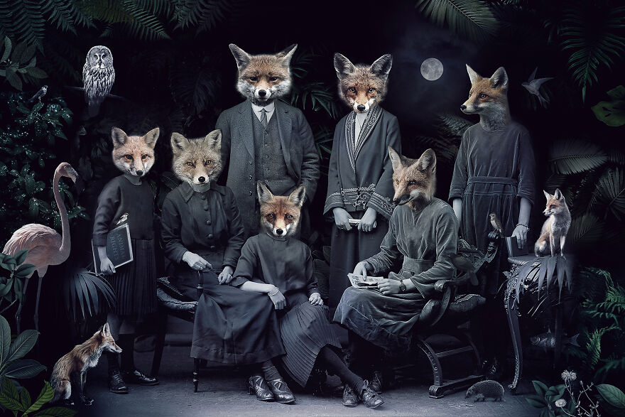 Never Forget The Forest - We Created Magical Collages Dedicated To Animals, Nature And Our Fragile Planet. Never Forget The Forest - We Created Magical Collages Dedicated To Animals, Nature And Our Fragile Planet.