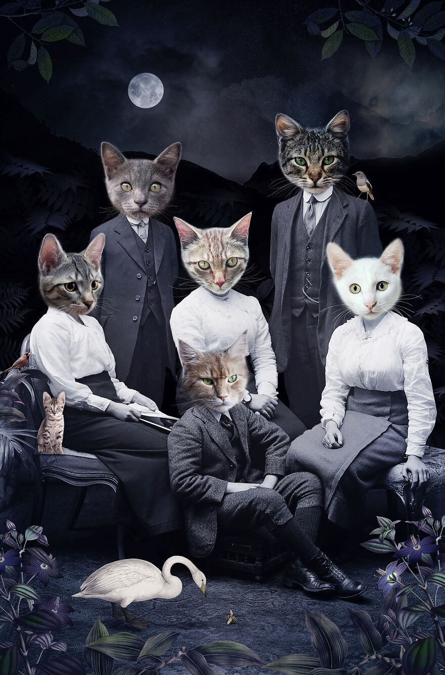 Never Forget The Forest - We Created Magical Collages Dedicated To Animals, Nature And Our Fragile Planet. Never Forget The Forest - We Created Magical Collages Dedicated To Animals, Nature And Our Fragile Planet.