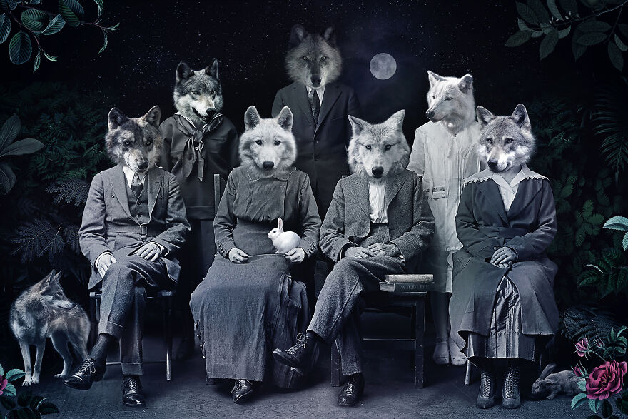 Never Forget The Forest - We Created Magical Collages Dedicated To Animals, Nature And Our Fragile Planet. Never Forget The Forest - We Created Magical Collages Dedicated To Animals, Nature And Our Fragile Planet.