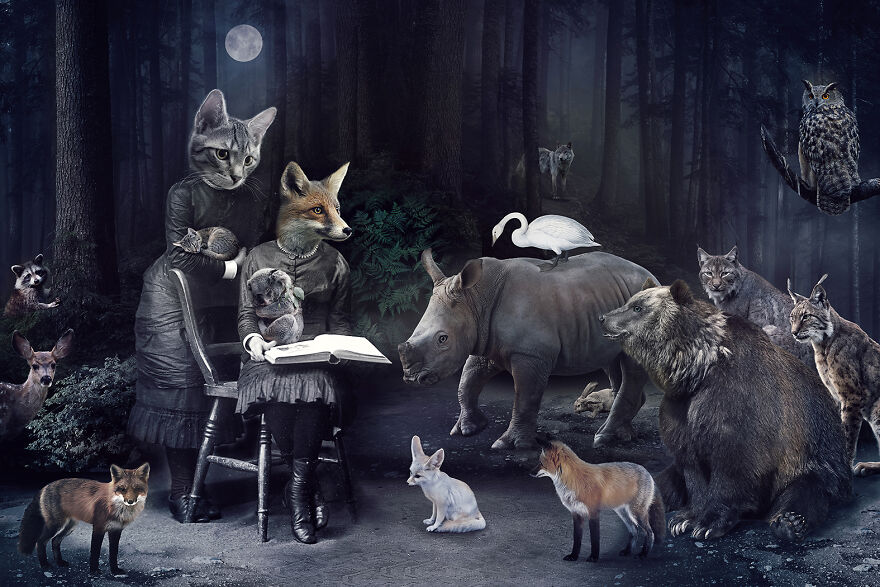 Never Forget The Forest - We Created Magical Collages Dedicated To Animals, Nature And Our Fragile Planet. Never Forget The Forest - We Created Magical Collages Dedicated To Animals, Nature And Our Fragile Planet.