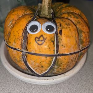 mikedeangelis avatar