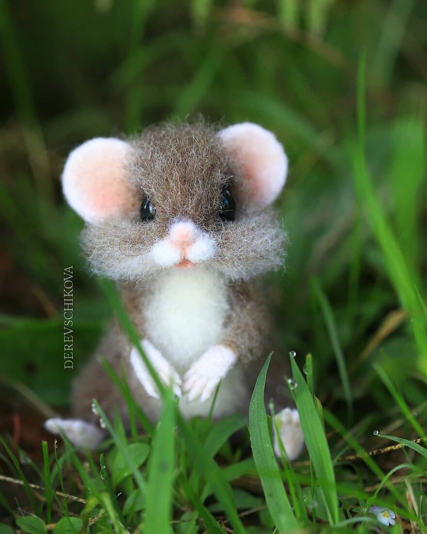 Russian Artist Creates Truly Delicious Felted Wool Animals (New Pics)