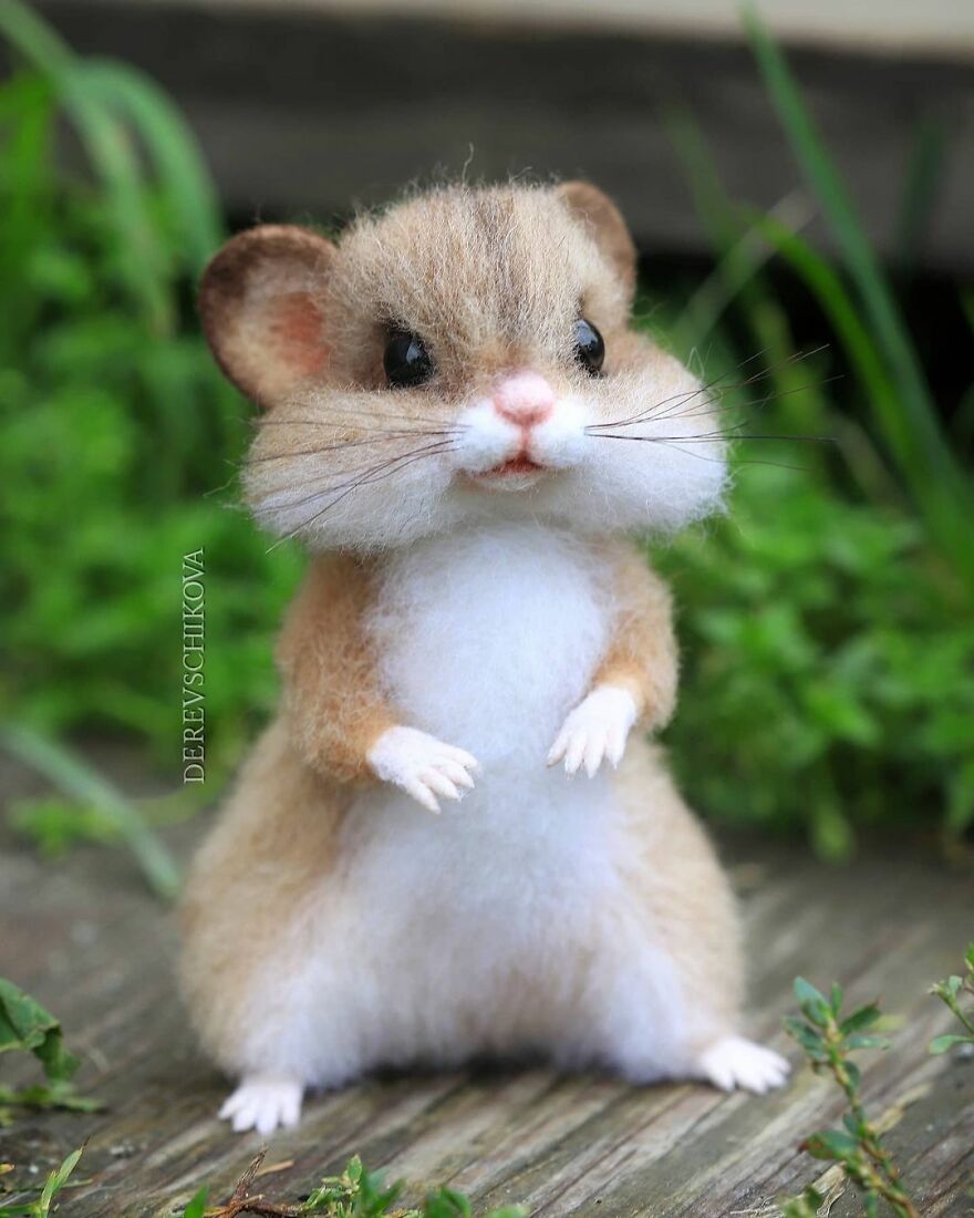Russian Artist Creates Truly Delicious Felted Wool Animals (New Pics)
