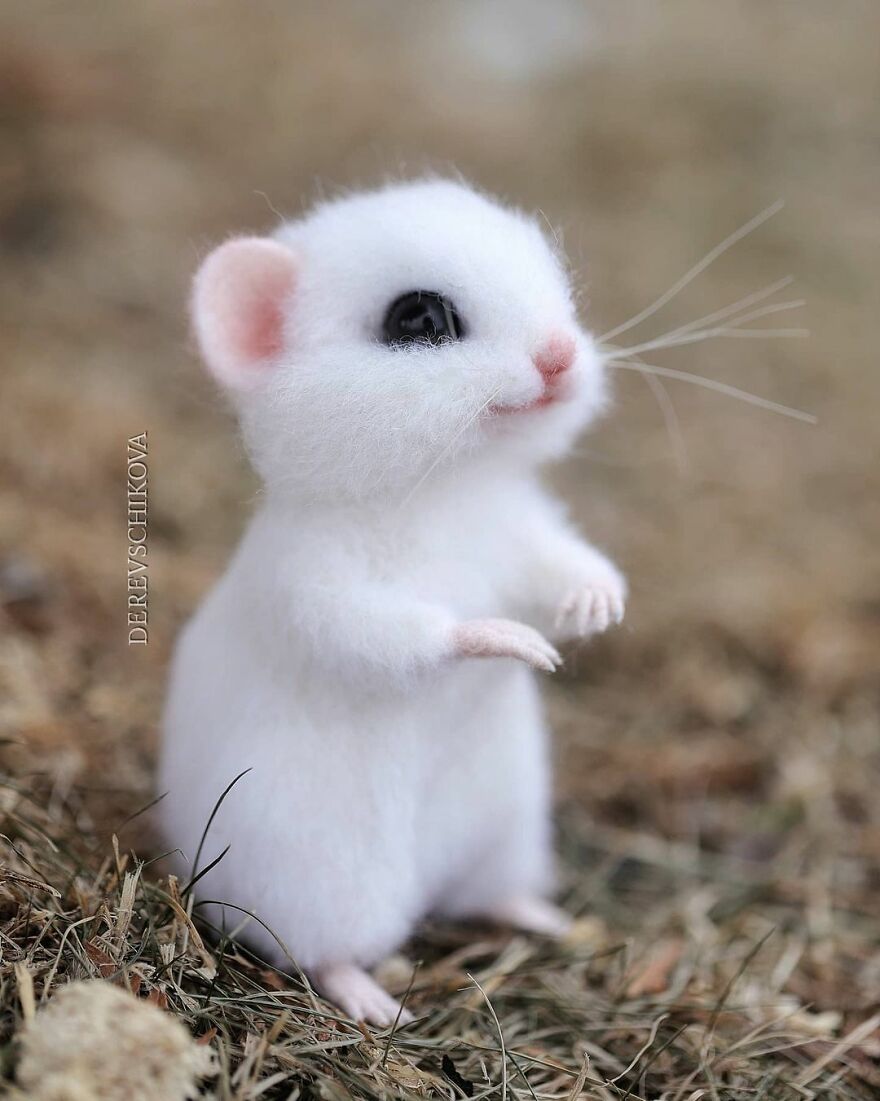 Russian Artist Creates Truly Delicious Felted Wool Animals (New Pics)