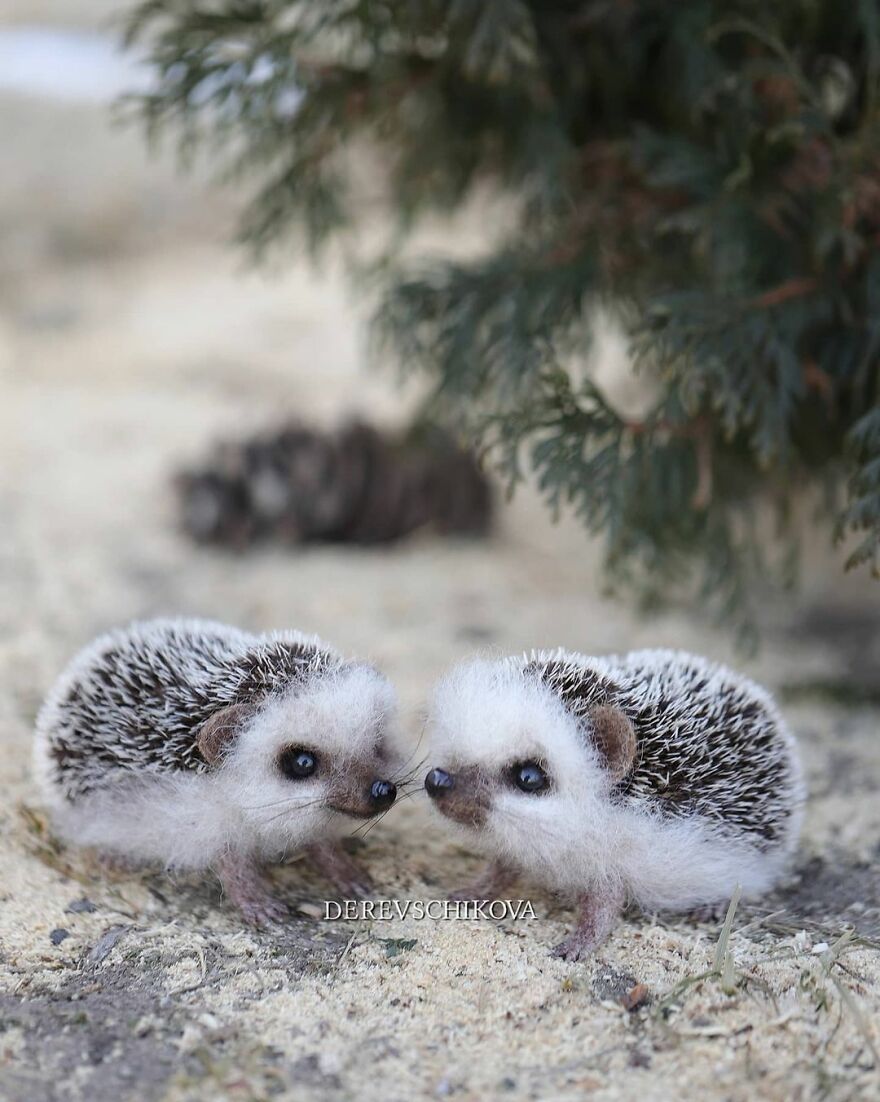 Russian Artist Creates Truly Delicious Felted Wool Animals (New Pics)