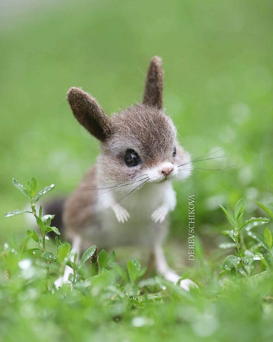 Russian Artist Creates Truly Delicious Felted Wool Animals (New Pics)