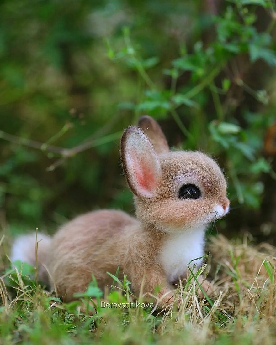 Russian Artist Creates Truly Delicious Felted Wool Animals (New Pics)