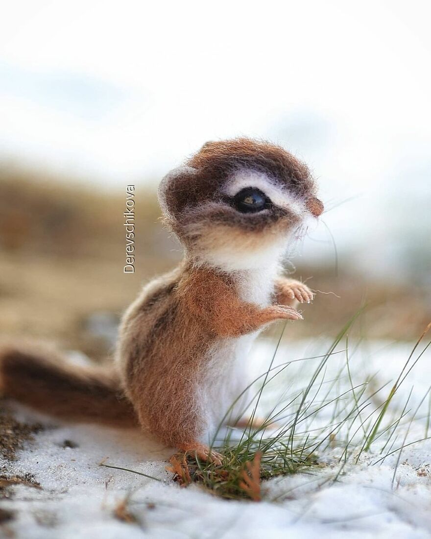 Russian Artist Creates Truly Delicious Felted Wool Animals (New Pics)