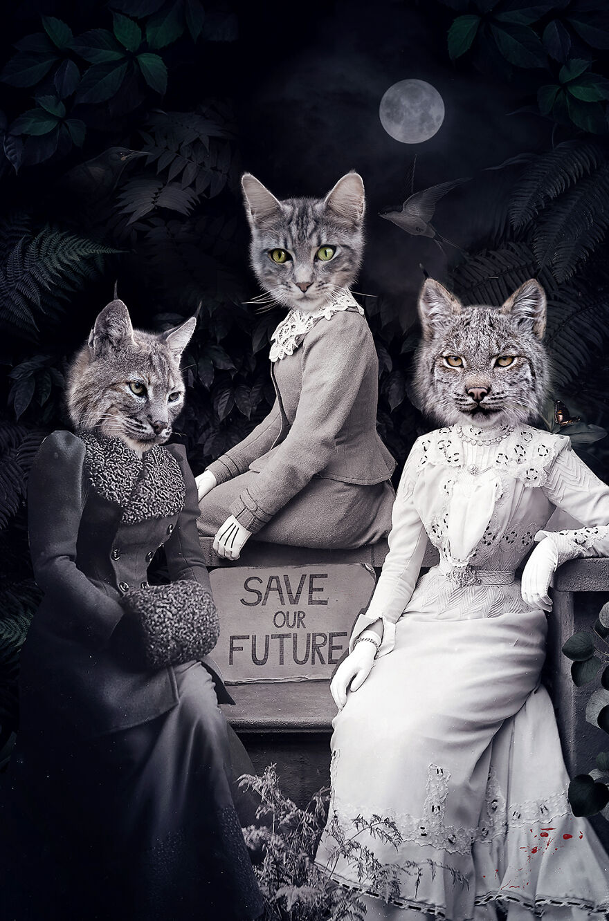 Never Forget The Forest - We Created Magical Collages Dedicated To Animals, Nature And Our Fragile Planet. Never Forget The Forest - We Created Magical Collages Dedicated To Animals, Nature And Our Fragile Planet.