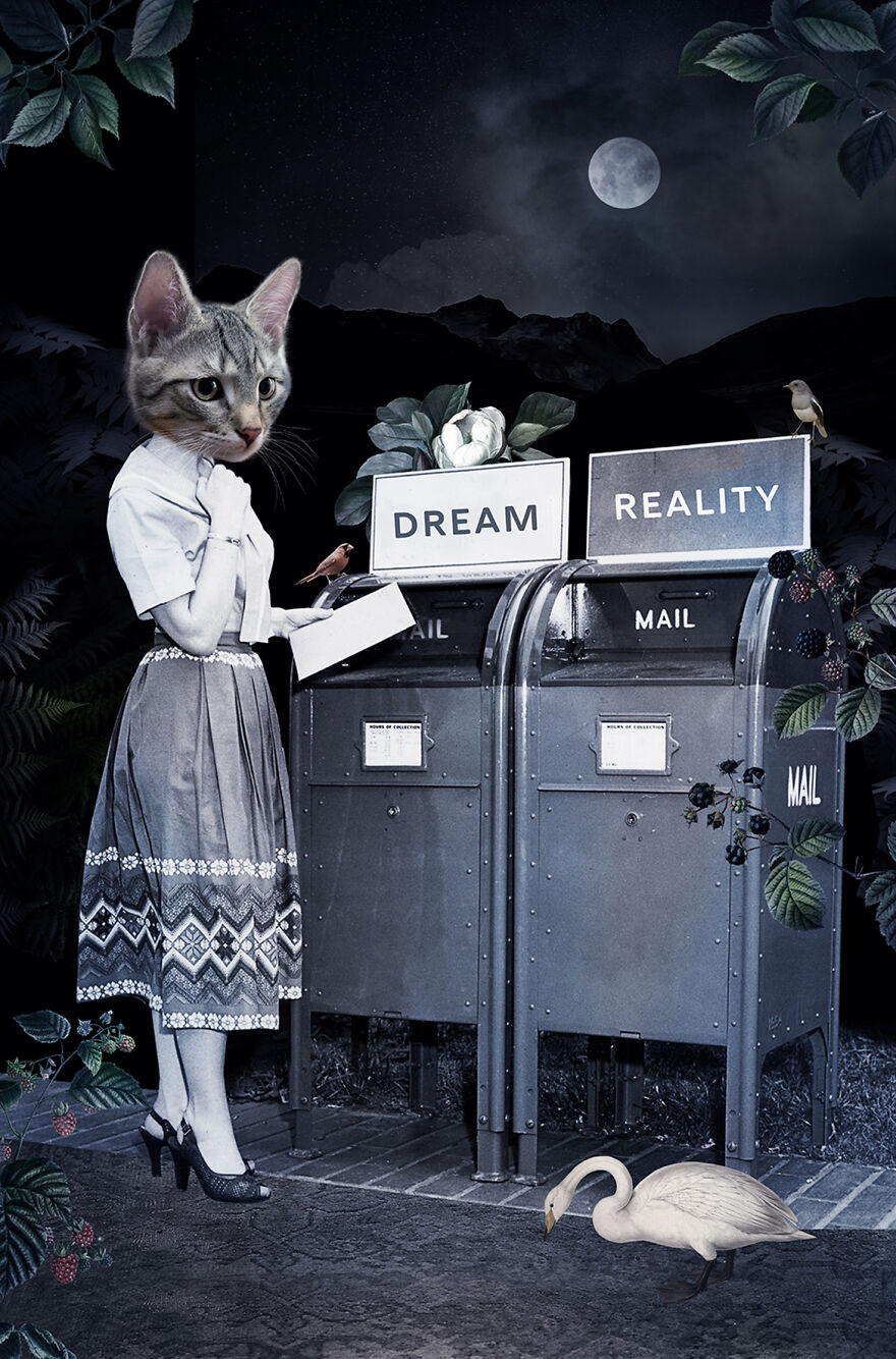 Never Forget The Forest - We Created Magical Collages Dedicated To Animals, Nature And Our Fragile Planet. Never Forget The Forest - We Created Magical Collages Dedicated To Animals, Nature And Our Fragile Planet.