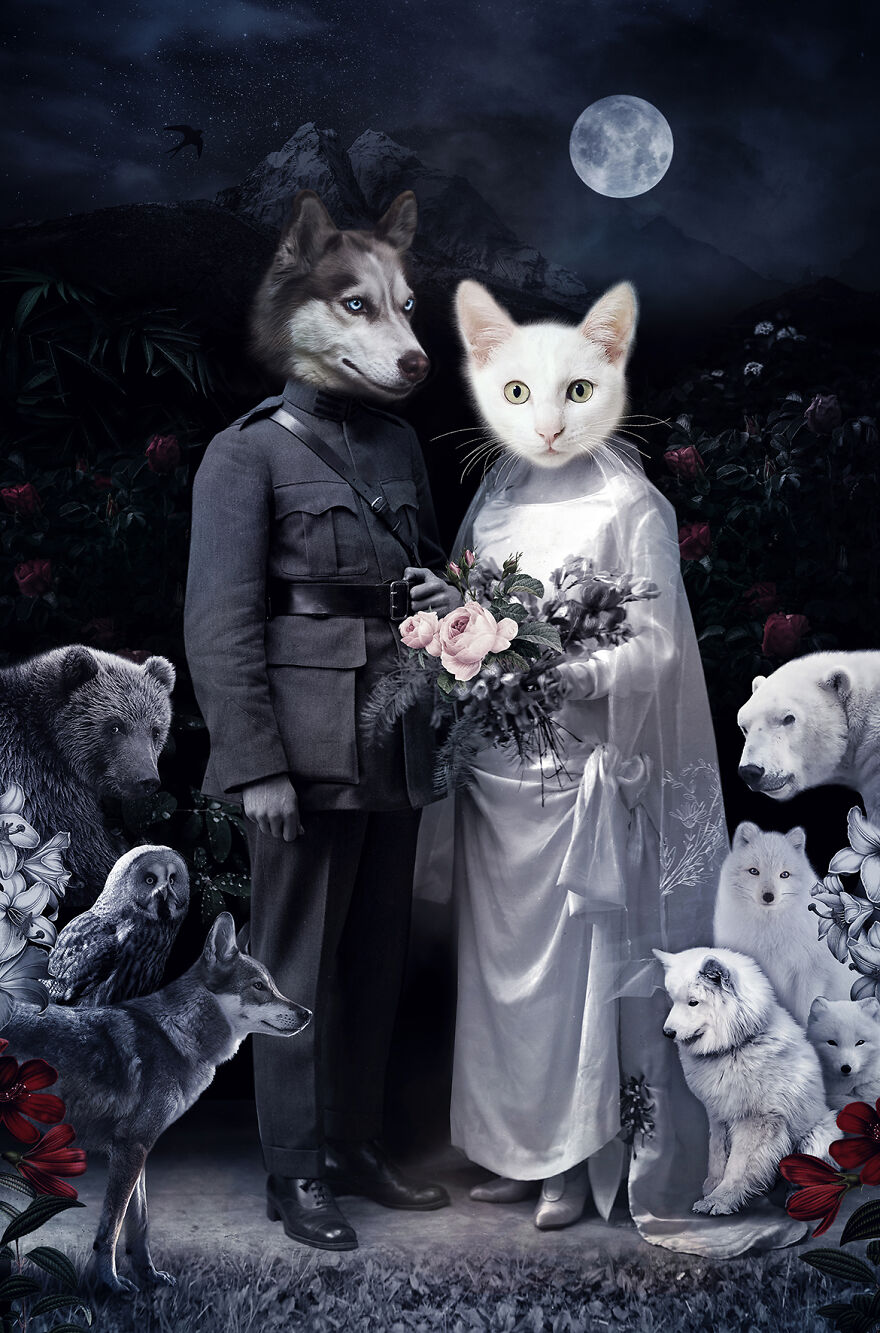 Never Forget The Forest - We Created Magical Collages Dedicated To Animals, Nature And Our Fragile Planet. Never Forget The Forest - We Created Magical Collages Dedicated To Animals, Nature And Our Fragile Planet.