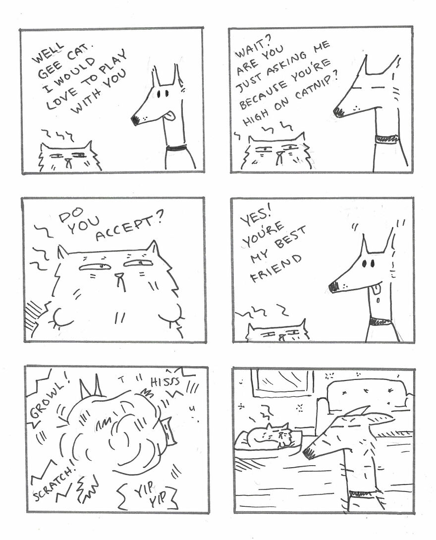 I Created A Festive Holiday Story About A Cat And Dog Trying To Get Along On Christmas