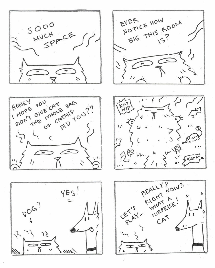 I Created A Festive Holiday Story About A Cat And Dog Trying To Get Along On Christmas I Created A Festive Holiday Story About A Cat And Dog Trying To Get Along On Christmas