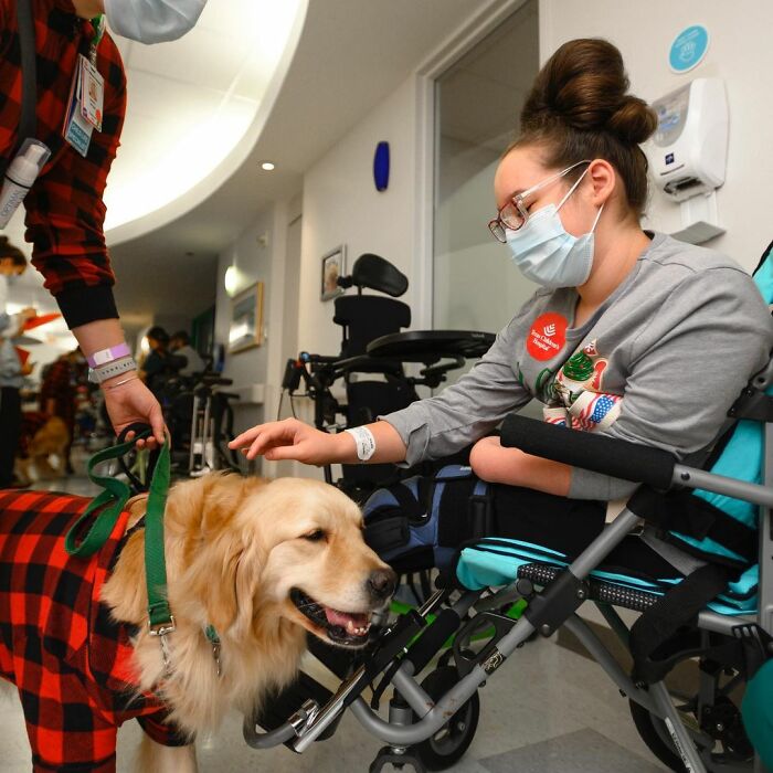 These Dogs Brought A Lot Of Joy To Ill Children That Had To Spend Christmas In A Hospital These Dogs Brought A Lot Of Joy To Ill Children That Had To Spend Christmas In A Hospital