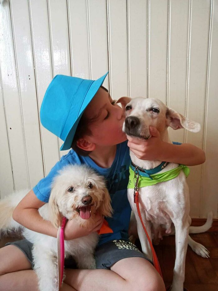 11-Year-Old Brazilian Boy Bathes Stray Dogs On Saturdays To Increase Their Chance At Being Adopted 11-Year-Old Brazilian Boy Bathes Stray Dogs On Saturdays To Increase Their Chance At Being Adopted
