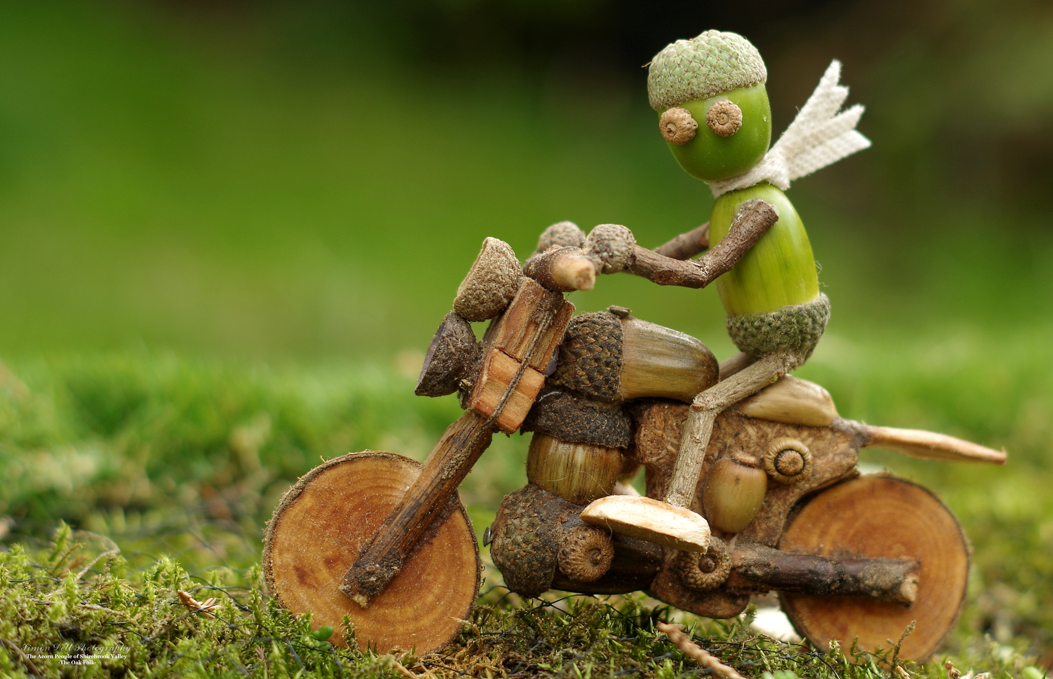 Meet The Acorn People Of Shirebrook Valley