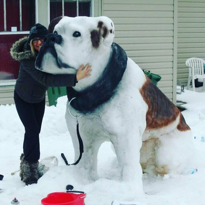 ¿Cómo deberíamos llamar a este cachorro de nieve?