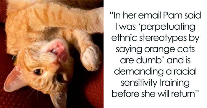 Colleague Makes Woman Cry By Saying One Of The Office Cats Is Dumb And The Matter Reaches HR