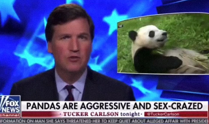 American Living In Germany Lists All The Reasons Why He Wouldn’t Go Back, And It’s Painfully Accurate American Living In Germany Lists All The Reasons Why He Wouldn’t Go Back, And It’s Painfully Accurate