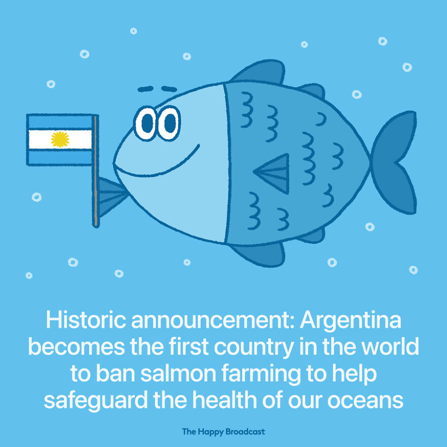 I’m Honestly Fed Up With All The Bad News So I Illustrated The Best News Of 2021