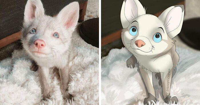 people send pictures of their pets to this artist to... People Send Pics Of Their Pets To This Artist And She Disneyfies Them ...