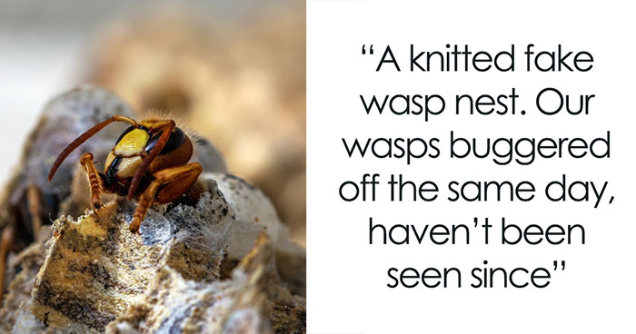 People Share 30 Life Hacks That Sound Terrible But Really Work