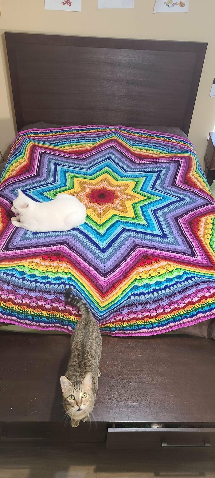 My Son Wanted A Rainbow Blanket, And Then Proceeded To Pick Out The Hardest Pattern I've Ever Attempted. Finished This Behemoth, And With 3 Weeks To Spare Before His Birthday!