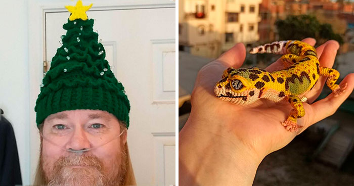 50 Times People Made Fascinating Crochet Designs That Were Too Good Not To Share (New Pics)