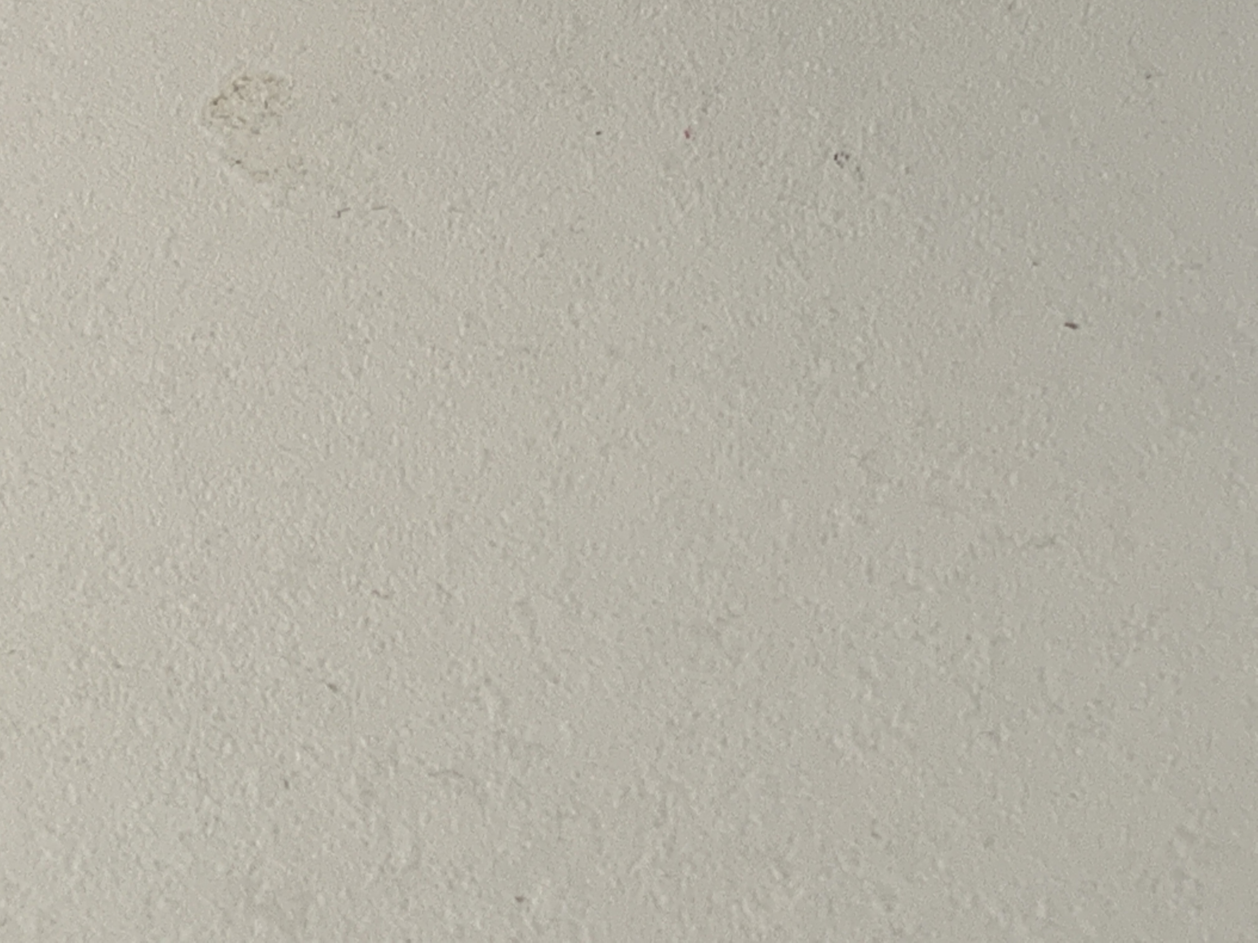 Hey Pandas, Post A Photo Of Your Pet Being A Jerk/Being A Derp