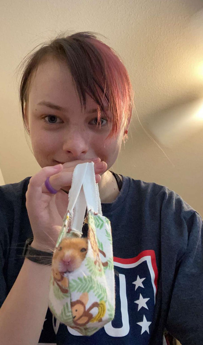 I Was Making Masks And My Hamster Decided It Was His Hammock. Meet My Baby, Dexter