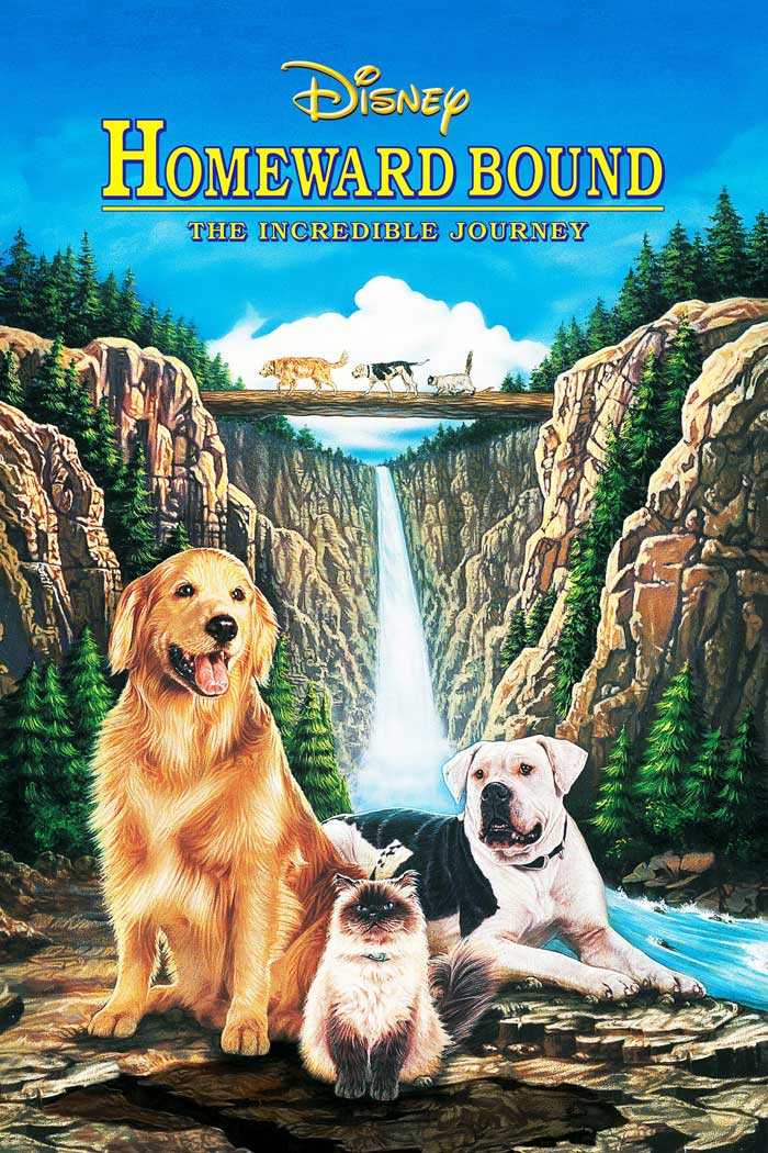 '90s kids movie poster featuring two dogs and a cat in a scenic mountain setting.