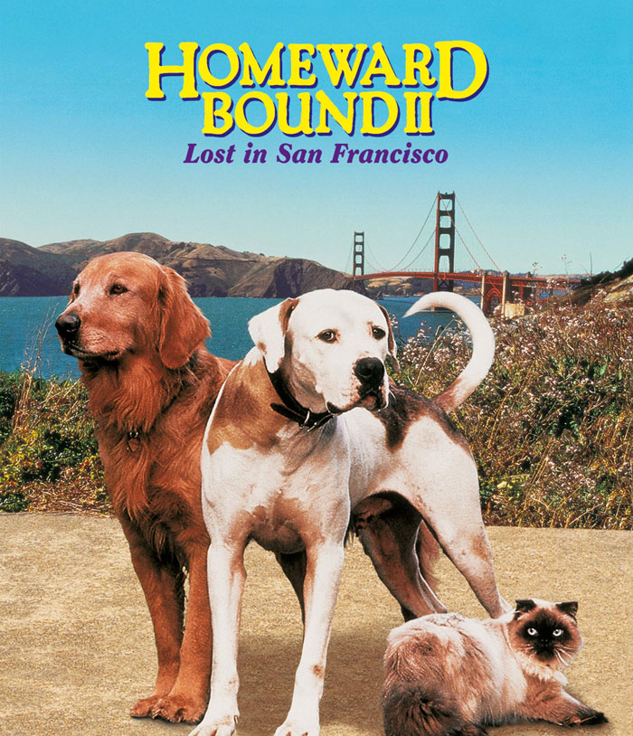Homeward Bound II: Lost In San Francisco