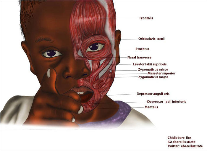 Many Online Have Never Seen A Black Fetus Illustrated, And Now Express Their Surprise After Finding One Many Online Have Never Seen A Black Fetus Illustrated, And Now Express Their Surprise After Finding One