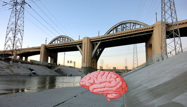 brain-in-the-gutter-61bc82985467f-png.jpg