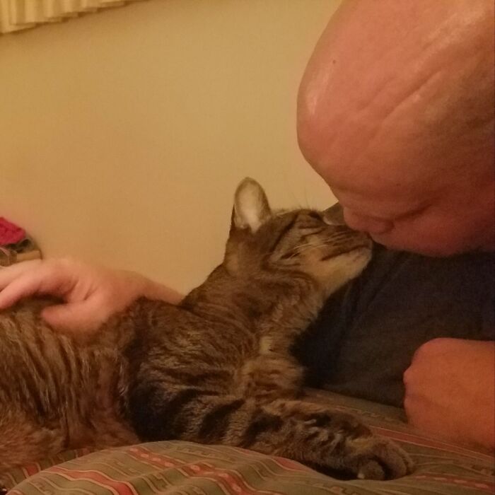 The Bond Between A Cat And His Person. In Memory Of Trooper 2002 - 2021