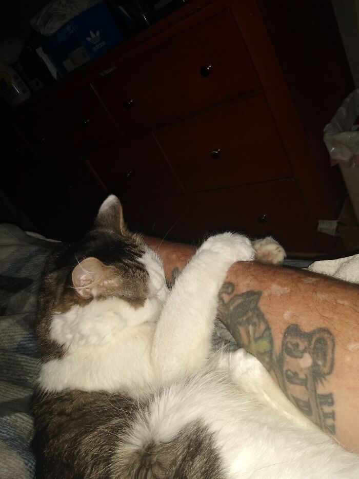 Has To Sleep Holding My Arm