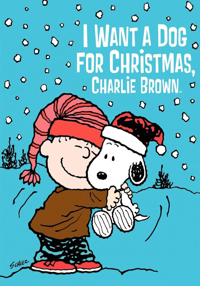 I Want A Dog For Christmas, Charlie Brown