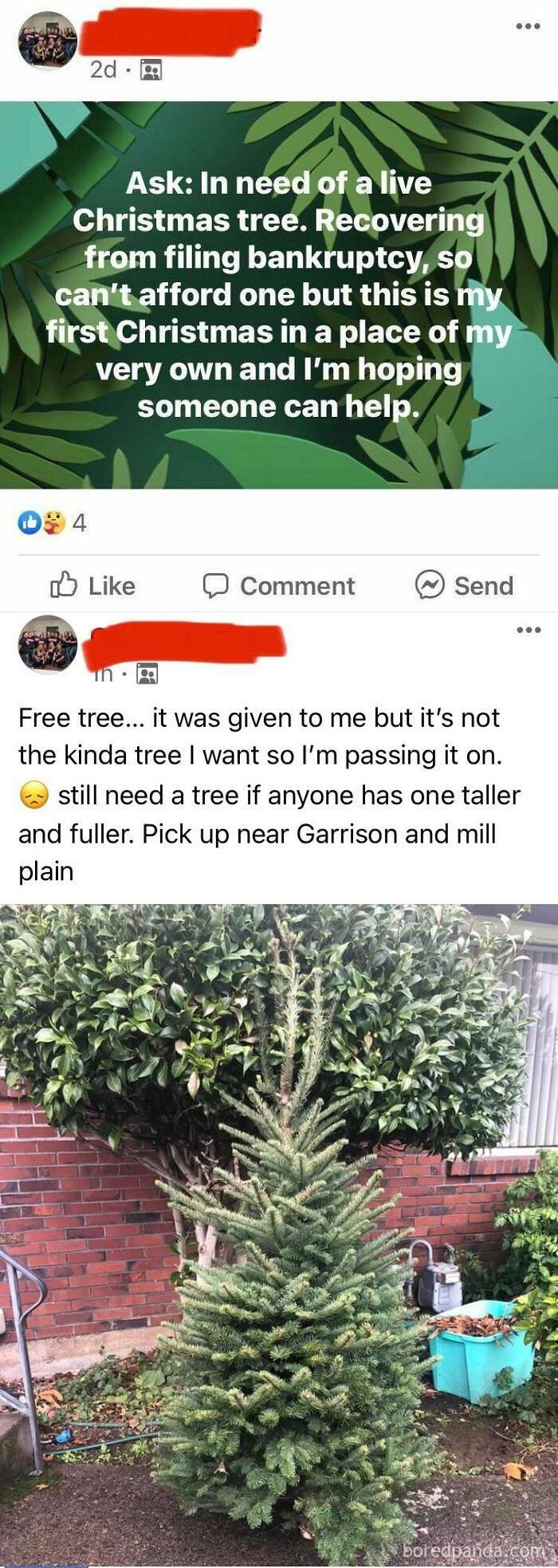 Free Christmas Tree Isn’t Tall Or Full Enough…