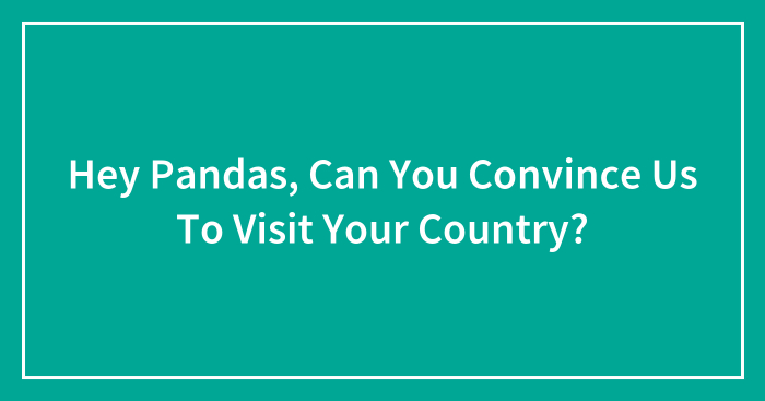 Hey Pandas, Can You Convince Us To Visit Your Country?