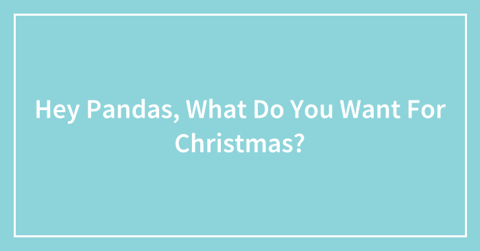 Hey Pandas, What Do You Want For Christmas? (Closed)