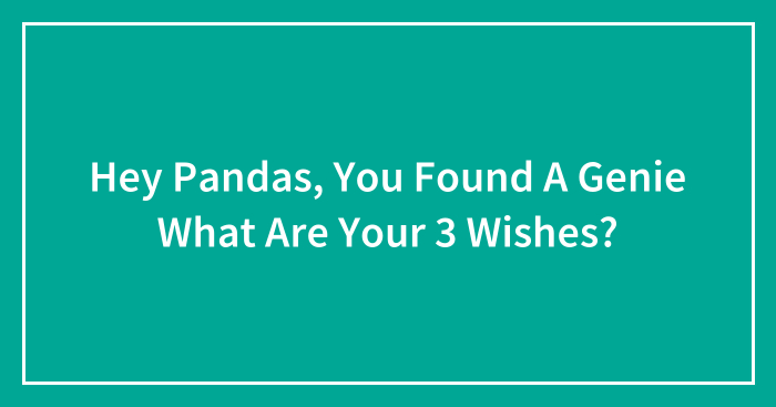 Hey Pandas, You Found A Genie What Are Your 3 Wishes? (Closed)